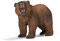 Schleich - Figura Oso Grizzly (14685)