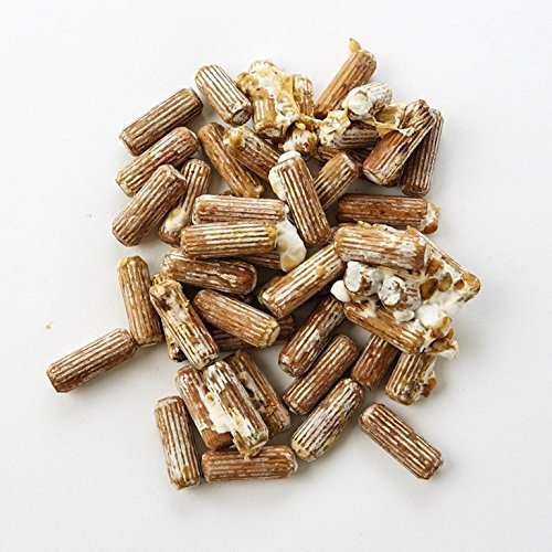 Shiitake Mushrooms Mushroom Mycelium Plug Spawn - 100 Count Plugs - Grow Edible Gourmet & Medicinal Shitake Fungi On Trees & Logs