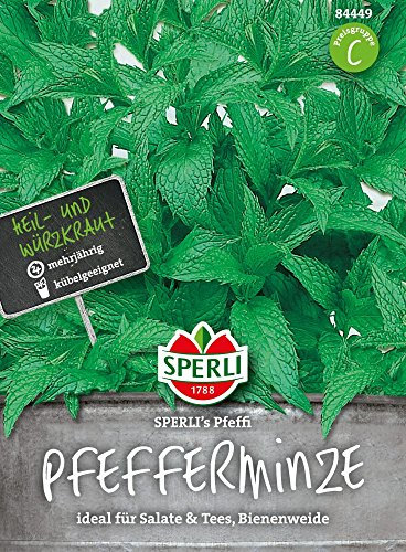 Sperli-Samen Pfefferminze