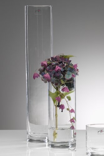 Sandra Rich, vaso di vetro cilindrico trasparente, collezione Cyli, tagliato a caldo, con diametro di 10 cm, transparent, 1 pieces, 50 cm