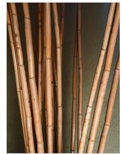 Poppe-Portal 10 Bambusstangen 30-40 mm Durchmesser1,95 mtr.