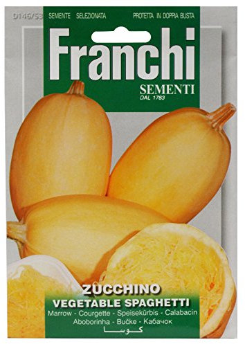 SEMENTI DI ORTAGGI DI QUALITA' PER USO HOBBYSTICO PROTETTE IN DOPPIA BUSTA (ZUCCHINO VEGETABLE SPAGHETTI)