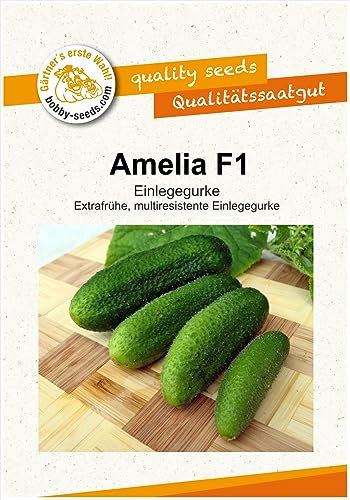Gurkensamen Amelia F1 Einlegegurke Portion
