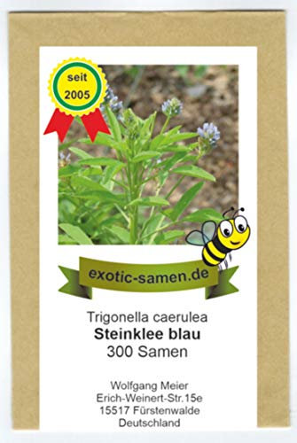 Blauer Steinklee - Schabzieger Klee - Bienenweide - Gewürz- + Arzneipflanze - 300 Samen