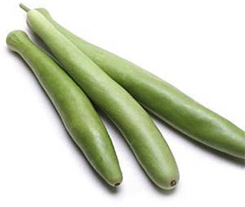 10 semi - Lagenaria longissima - cuccuzza siciliana