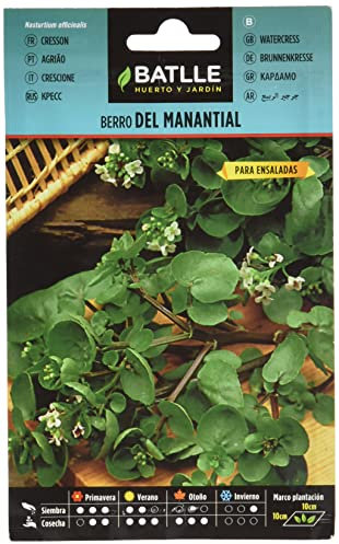 Graines aromatiques de Batlle - Cresson de Printemps (1g)