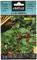 Graines aromatiques de Batlle - Cresson de Printemps (1g)