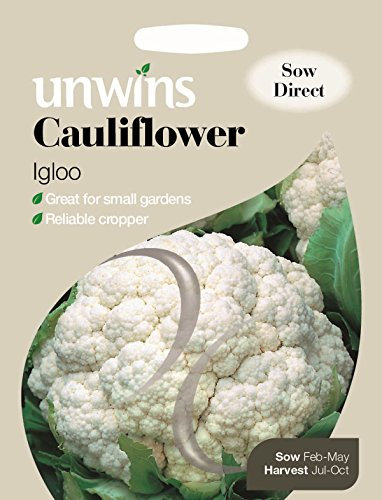 Unwins Pictorial Packet - Cauliflower Igloo - 75 Seeds