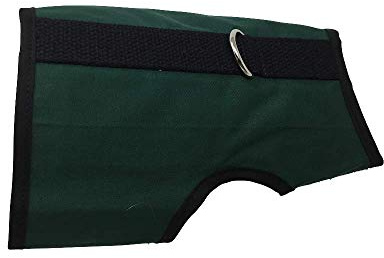 Kitty Holster Cat Harness – Secure Cat Harness for Walking, Soft Cotton Cat Accessories, Comfortable Fit, Strong Hook-and-Loop Closure, Made in USA – Green, XS