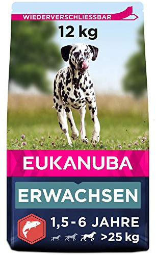 Eukanuba Hundefutter mit Lachs & Gerste für große Rassen - Trockenfutter für ausgewachsene Hunde, 12 kg