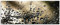 ARTland Wanddeko Glasbilder Wandbild Glas Bild einteilig 125x50 cm Querformat Natur Botanik Blumen Pusteblume Frühling Wassertropfen Modern S5YR