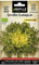 Semillas Batlle Escarola Cabello Angel Moss Curled - ECO