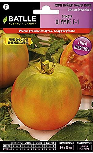 Semillas Batlle Tomate OLYMPE F-1