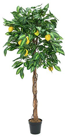 Europalms citronträd gul 180 cm