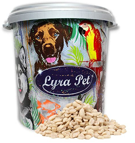 Lyra Pet® | 10 kg Erdnusskerne Splits in 30 L Tonne| Wildvogelfutter Ganzjährig | Nährstoffreiches Streufutter | Energiespender für Wildvögel | Erdnüsse ohne Schale | Vogelfutter für Sommer & Winter
