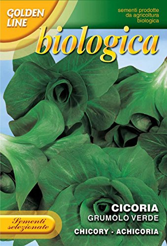 Franchi Seeds of Italy Organic Range Chicory Grumolo Verde Seeds