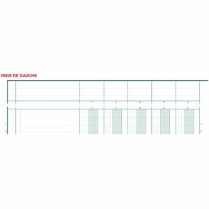Exacompta Spaltenbuch A4 Karton mit Kopfleiste 13 Spalten 40 Blatt