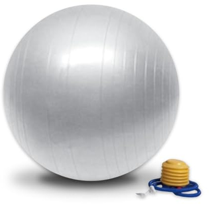 Sun&Sia YB55-AR Ballon de Fitness Mixte Adulte, Argenté
