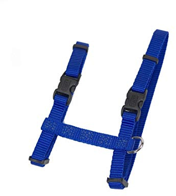 Coastal Pet Figure H Adjustable Cat Harness - Outdoor Cat Supply - Comfortable for Cats - Secure Snap-Lock Buckles - Blue, 3/8 x 10-18