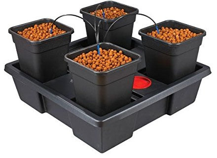 Wilma Système hydroponique à 4 pots de 11 l
