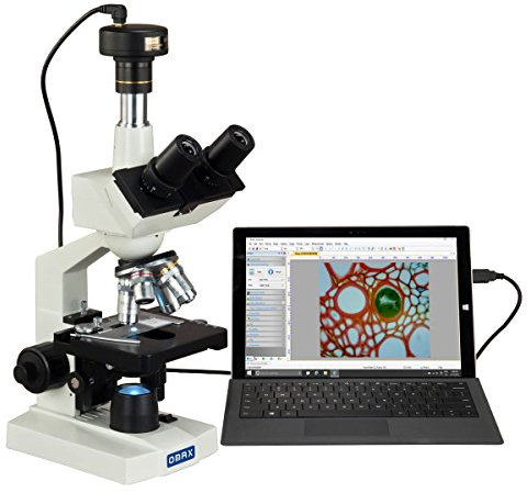 AmScope M83ES-C50U OMAX 40X-2000X Digital Lab Trinocular Compound LED Microscopio con cámara digital de 5 MP y mesa mecánica de doble capa