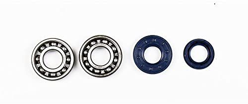 Athena P400130444005 Kit Albero Motore Skf per B&S Minarelli Metal Cage Special N