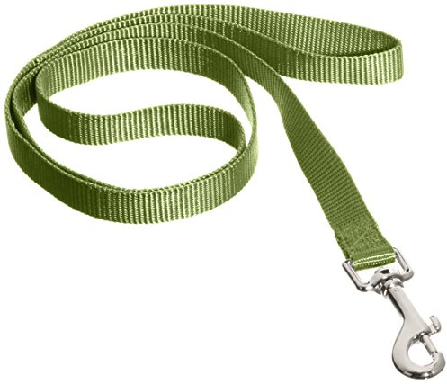 Nobby Laisse en Nylon pour Chien Vert 10 mm x 120 cm