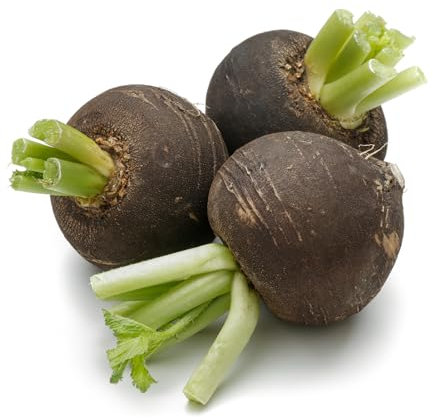 Just Seed Radish -Heritage - Black Spanish Round - 1000 Seeds