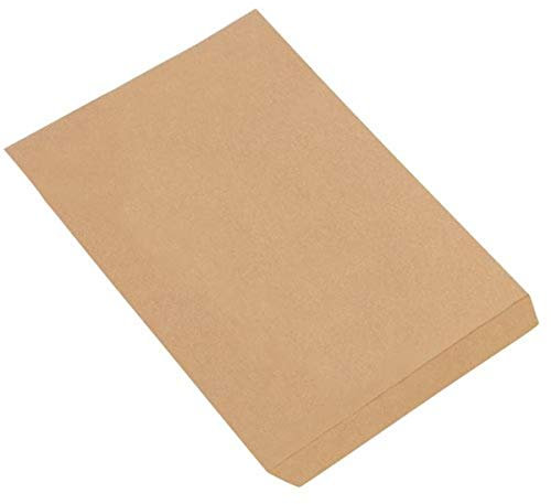 BOX USA BBGM104K Flat Merchandise Bags, 10 x 13, Kraft (Pack of 1000)