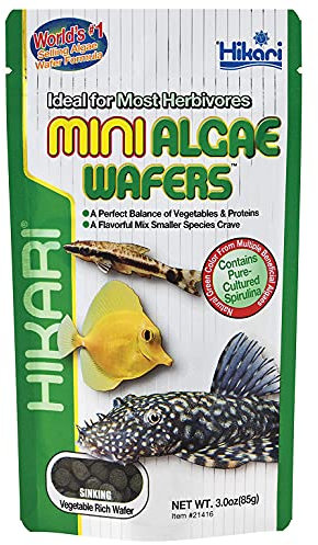 HIKARI M138197 Mini Algae Wafers 85G, 1000 ml