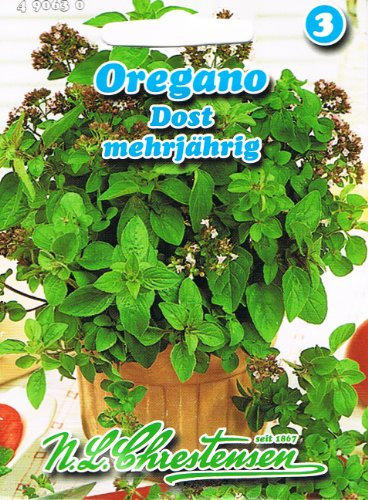 Oregano Dost Staudenmajoran mehrjährig