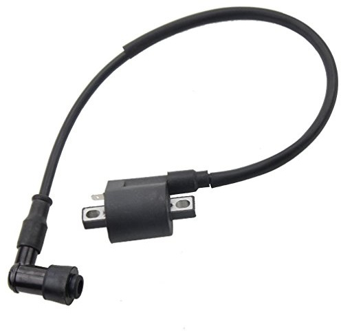 GOOFIT Ignition Coil Replacement For CG 125CC 150cc 200cc 250cc MTB/ATB Go Kart Dirt Bike Pit Bike Four Wheeler Quad Bikes 90 PW50 KX60 KX65 KX80 KX85 KX125 KX250 KDX200 ATV