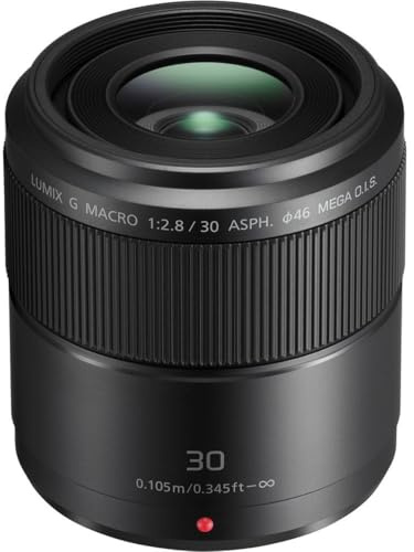Panasonic LUMIX G MACRO LENS, 30MM, F2.8 ASPH, MIRRORLESS MICRO FOUR THIRDS, MEGA OPTICAL I.S, H-HS030 (USA BLACK)