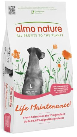 Almo Nature Life Maintenance Cibo Secco per Cane L al Salmone 12 kg – Crocchette Complete per Cani Adulti di Taglia Grande