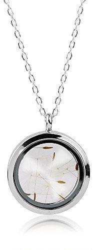 MadamLili - Echte Pusteblumen Silber Anhänger Set - Medaillon Halskette 70cm Lang - Versilbert - Handgefertigt - Löwenzahn Samen Naturschmuck Amulettkette - Exklusive Schmuckbox