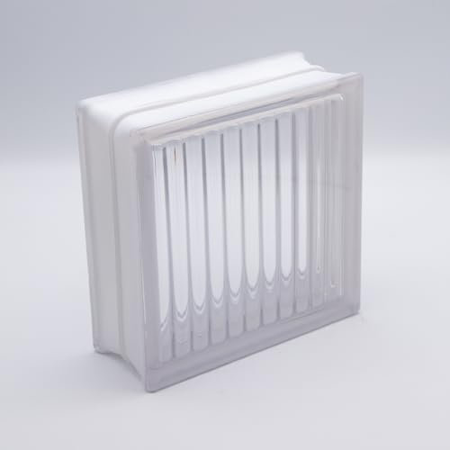 5 pièces FUCHS briques de verre parallèle incolore 19x19x8 cm