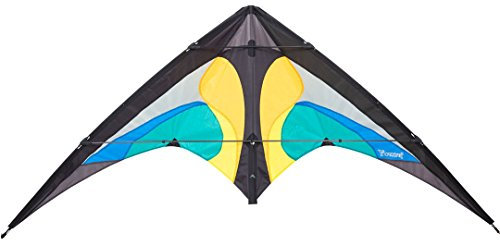 HQ 11677615 - Yukon II Ice, Zweileiner Lenkdrachen Allround, ab 12 Jahren, 80x175cm, inkl. 50kp Dyneemaschnüre 2x20m auf Winder mit Schlaufen, 2-6 Beaufort