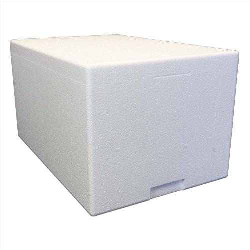 Terra Exotica Styroporbox/Thermobox - 41,5 Liter - 60 x 40 x 33 cm/Wandstärke 4 cm - Styrobox
