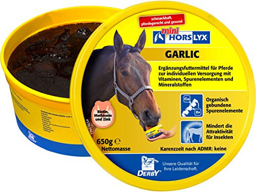 Horslyx Garlic, 650 g