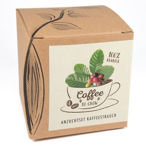 Kit de culture cadeau Coffee-to-grow, buisson de café auto-cultivé, comprenant un pot en noix de coco et des instructions
