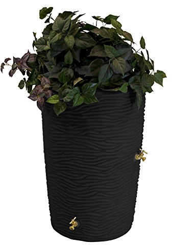 Good Ideas IMP-L50-BLK Impressions Palm Rain Barrel, 50-Gallon, Black