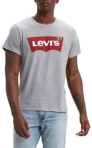 Levi's Herren Graphic Set-In Neck T-Shirt, Batwing Logo, Grey, XXL