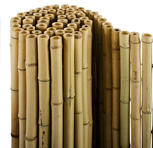 casa pura® Bambus Sichtschutz | Bambusmatte in Premiumqualität, Massive Bambusrohre | naturbelassen | DREI Größen (150x250cm, HxB)