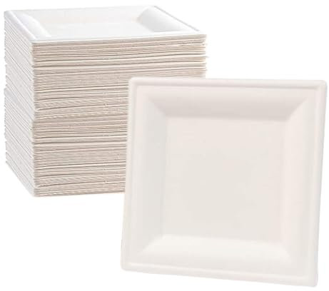 various Platos Desechable 100 piezas,Vajilla Ecológica y Biodegradable,Caña de Azúca Blanca Plato Desechables Extrafuertes Cuadrado 16cm para Fiestas,Camping,Picnic,Barbacoas