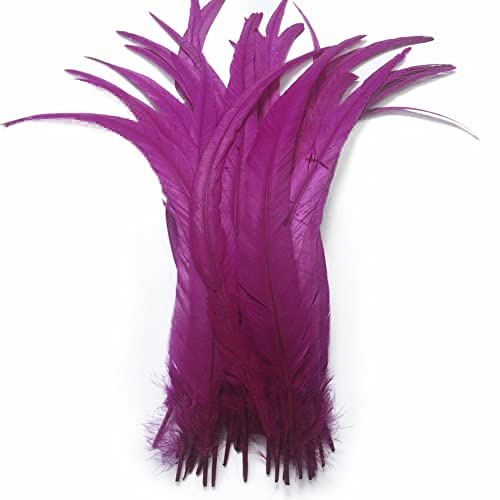 Sowder Rooster Coque Tail Feathers 14-16inch(35-40cm) for Costume DIY Crafting Home Wedding Decoration Tying Feather Party Performances Pack of 20 (Fuchsia)