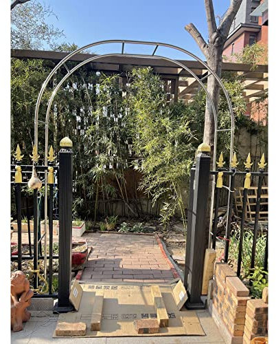 DHGVCED Arco da Giardino in Metallo Arco per Rose in Acciaio Inossidabile Larghezza 120-350 Cm Facile da Montare(Size:240 * 240cm(94 * 94in))
