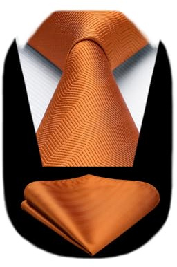 HISDERN Orange Ties for Men Classic Wedding Tie and Pocket Square Set Elegant Formal Necktie and Handkerchief Business Party