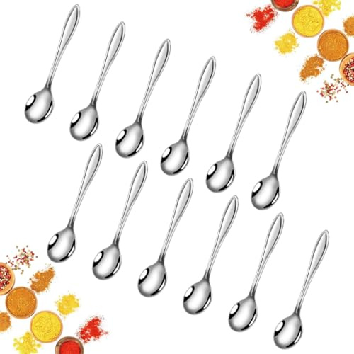 YAYNO 12 Pezzi Mini Cucchiai Cucchiaini da Caffè 9,5cm Cucchiaino da Tè in Acciaio Inox Cucchiaini per Spezie, Sale, Zucchero, Caffè, Miele, Dessert, Lavabile in Lavastoviglie, per Ristorante Casa