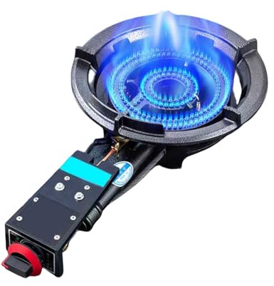 Single Burner Electric Cooktop,Electric Stove Top,Overheat Protection,for Tailgating,Seafood Boil,Home Brewing(34x60cm,NG)