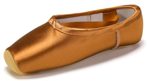 SWDZM Chaussures de Danse Classique Pointe de Ballet avec Protection Professionnel avec Ruban pour Filles Femmes